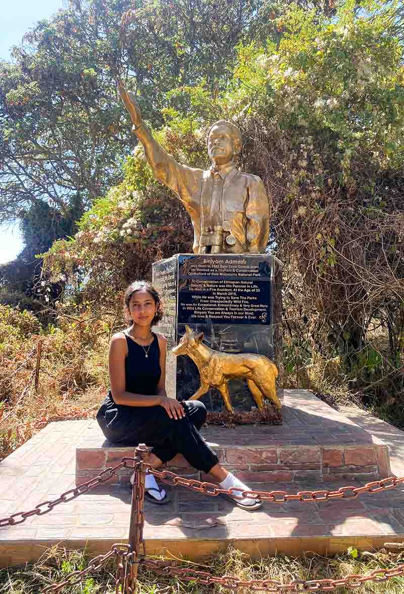 Traveler at the Bale Mountains Ethiopian wolf monument